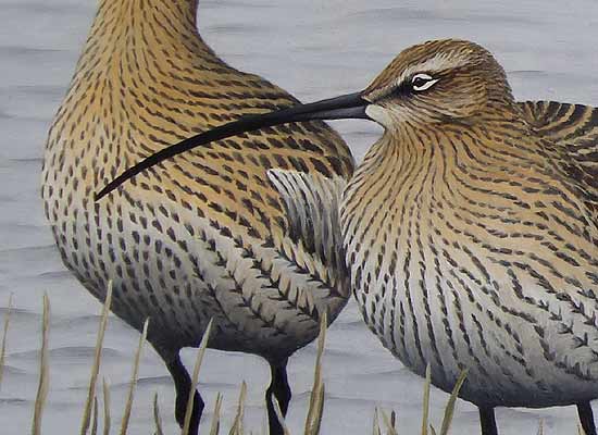 curlew roost by bird artist Chris Lodge