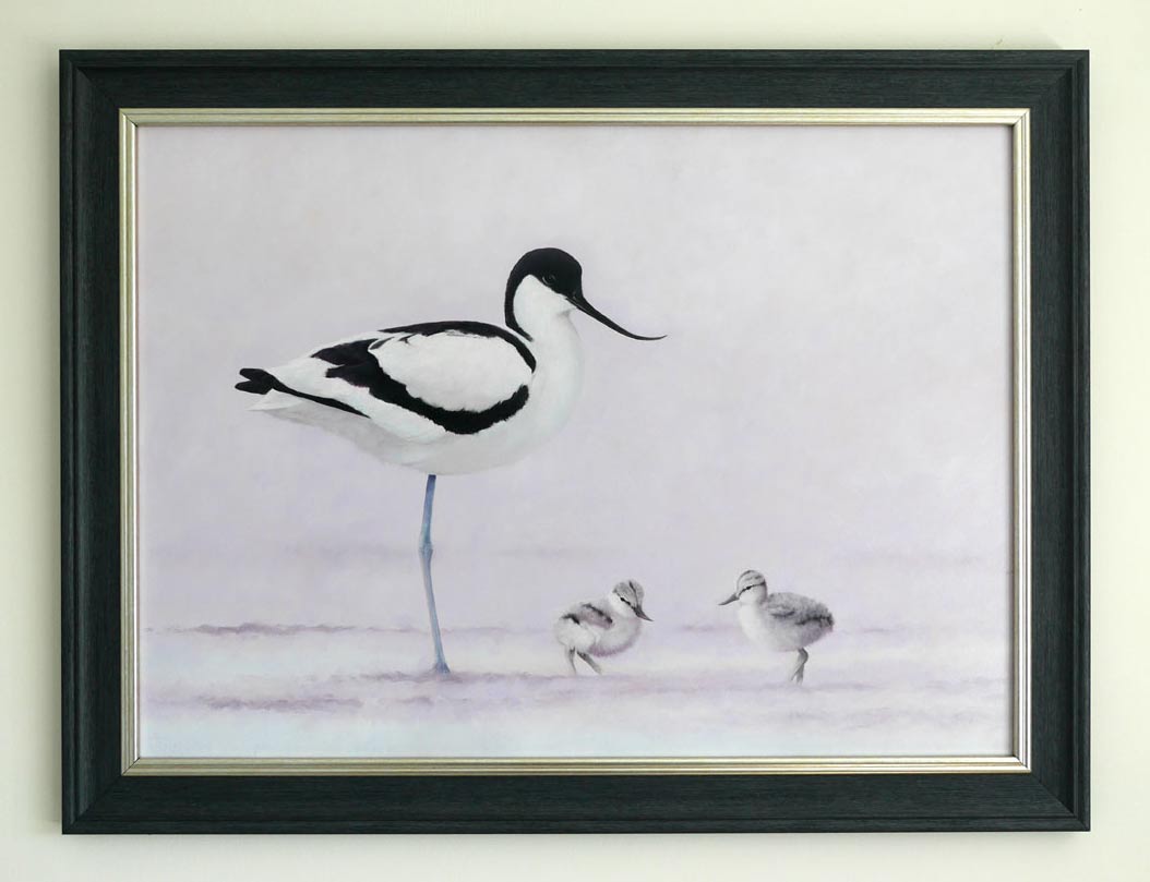 Avocet and Chicks Painting