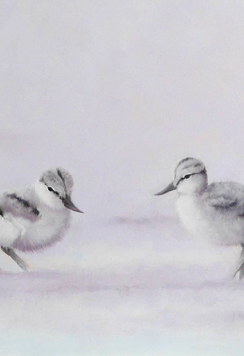 Avocet and Chicks - An Original Oil Painting By Bird Artist Chris Lodge