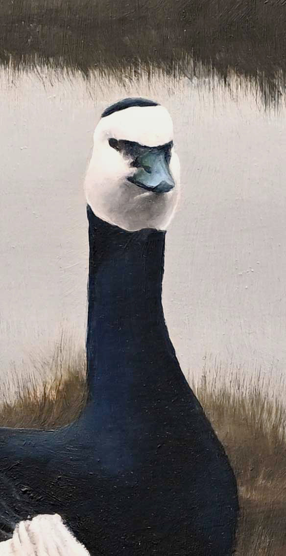 Barnacle Geese and Lapwing - An Original Oil Painting By Bird Artist Chris Lodge