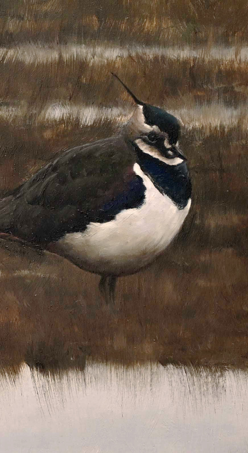 Barnacle Geese and Lapwing - An Original Oil Painting By Bird Artist Chris Lodge