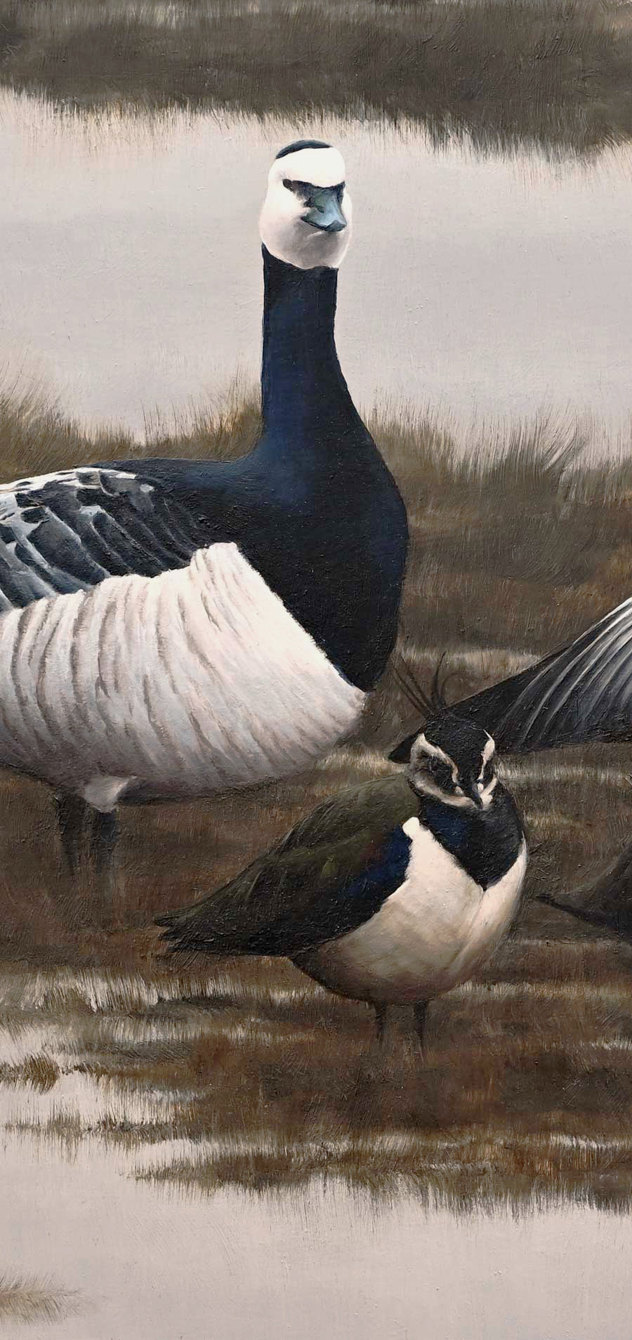 Barnacle Geese and Lapwing - An Original Oil Painting By Bird Artist Chris Lodge