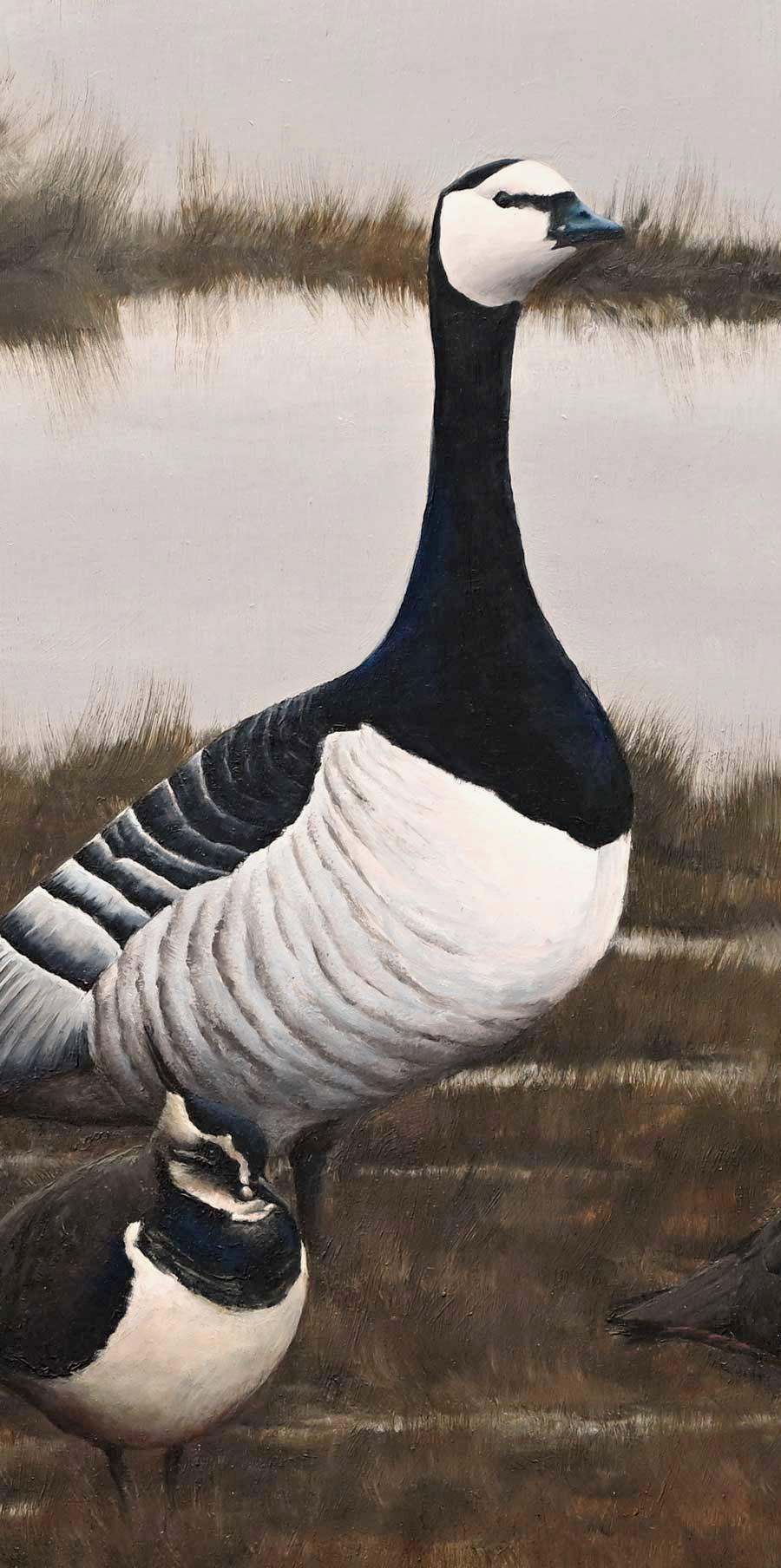 Barnacle Geese and Lapwing - An Original Oil Painting By Bird Artist Chris Lodge