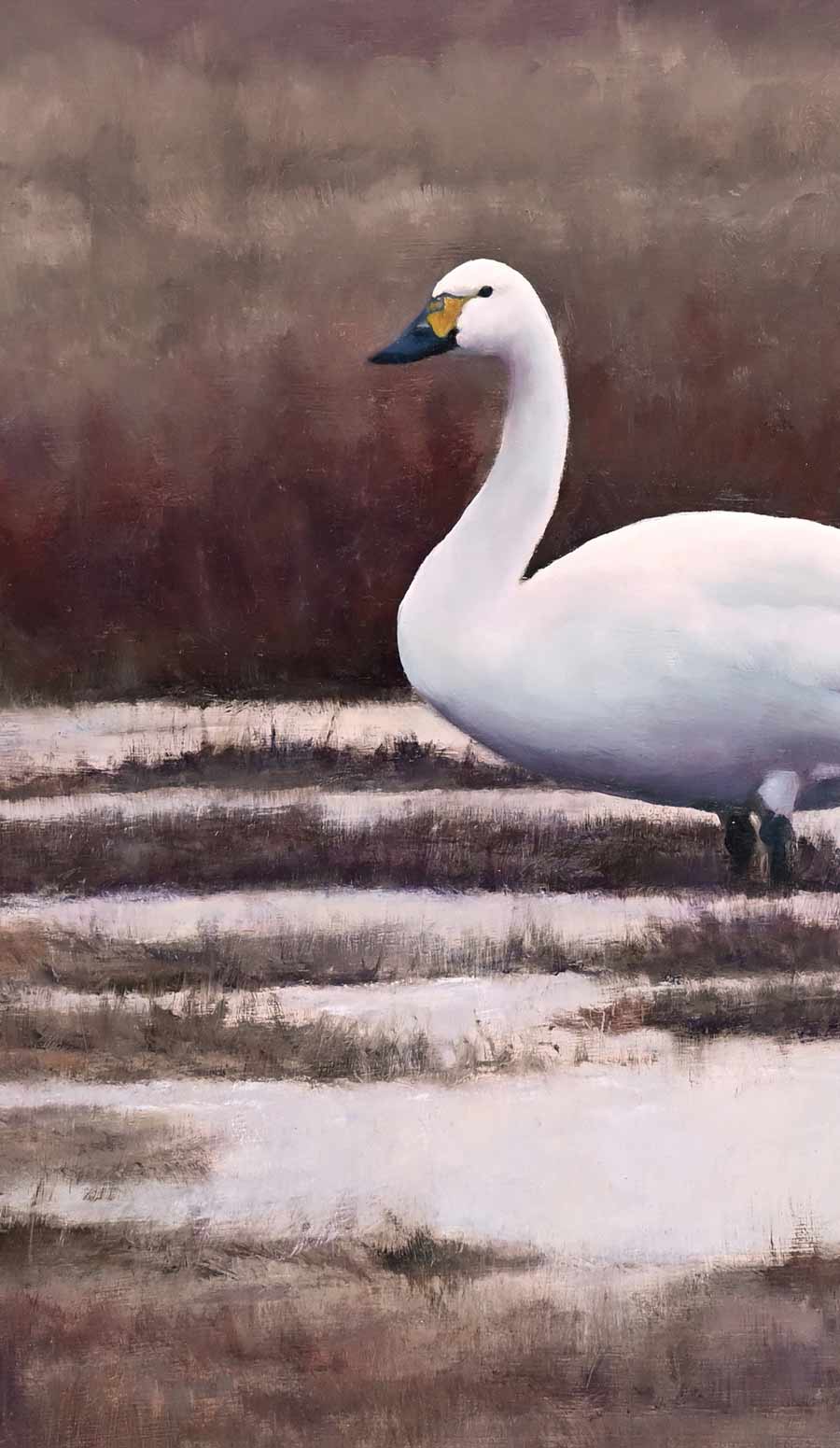 Bewick's Swans - An Original Oil Painting By Bird Artist Chris Lodge