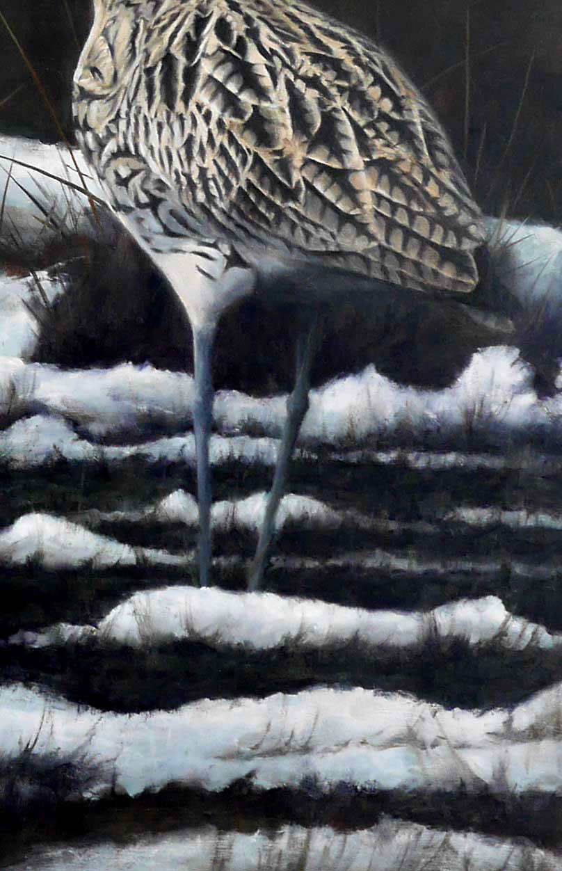 Curlew - Winter Marsh - An Original Oil Painting By Bird Artist Chris Lodge