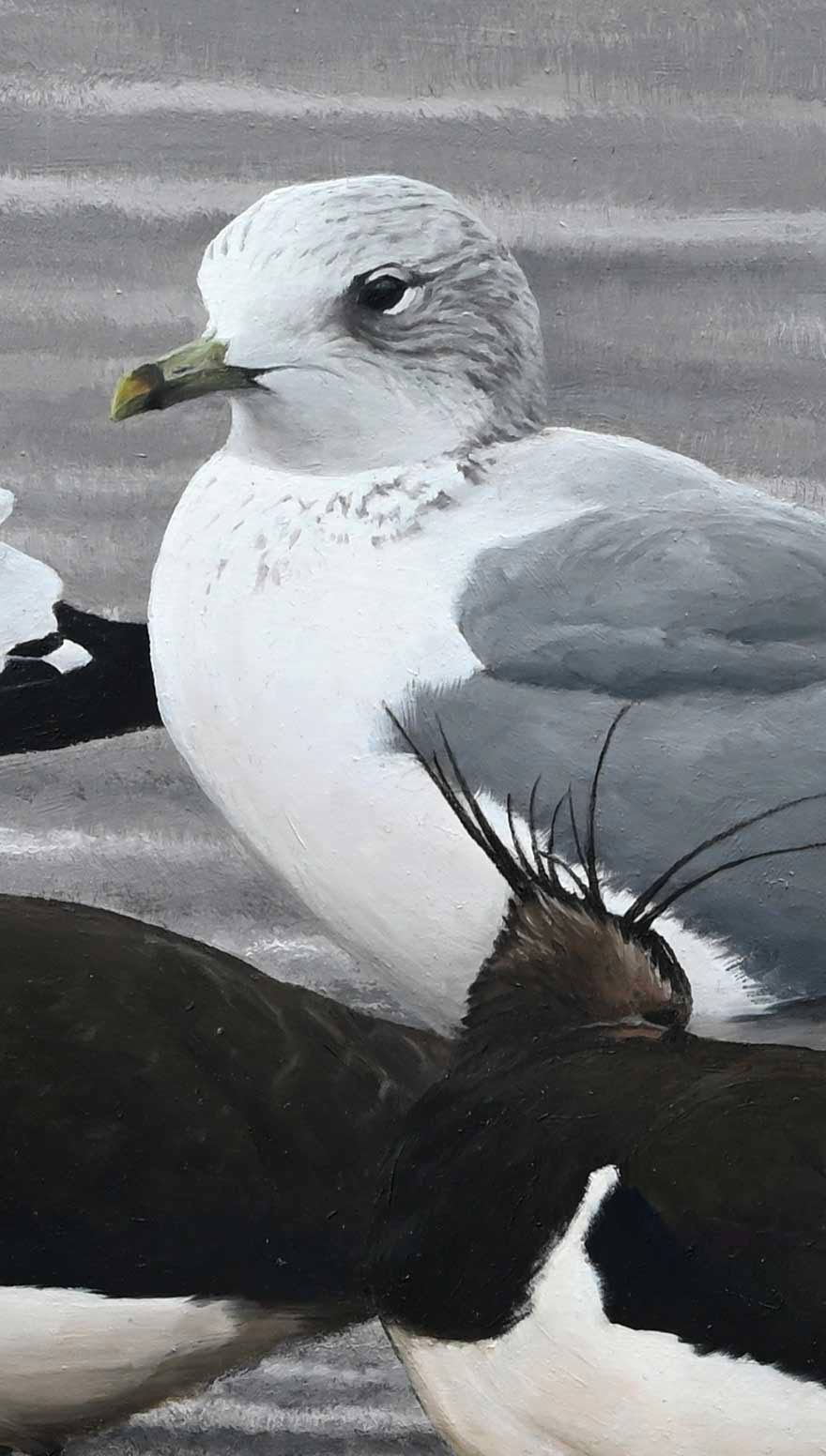Gulls and Lapwing - An Original Oil Painting By Bird Artist Chris Lodge