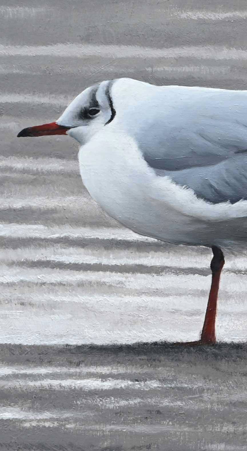 Gulls and Lapwing - An Original Oil Painting By Bird Artist Chris Lodge