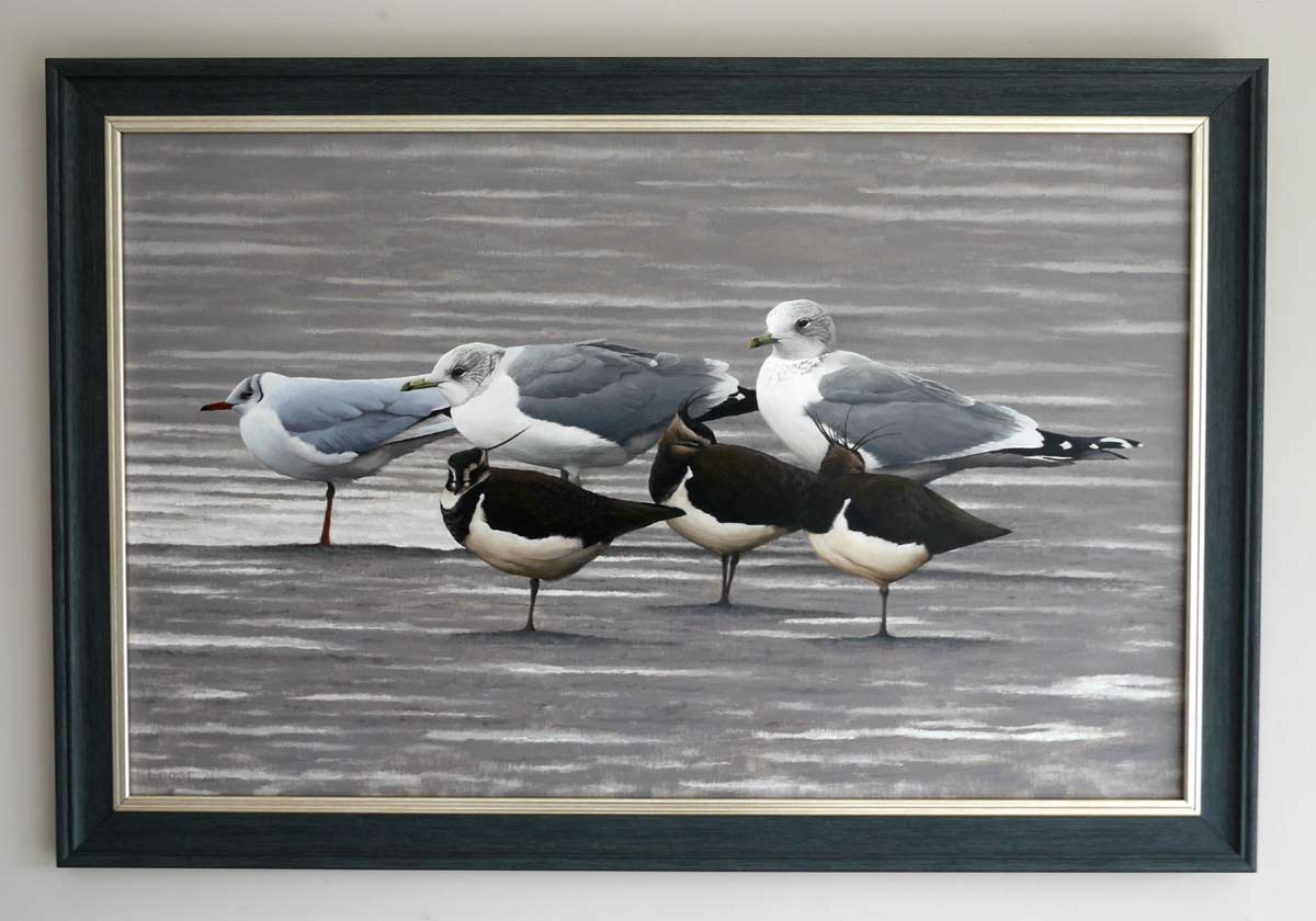 gulls and lapwing painting Bird Art by Chris Lodge