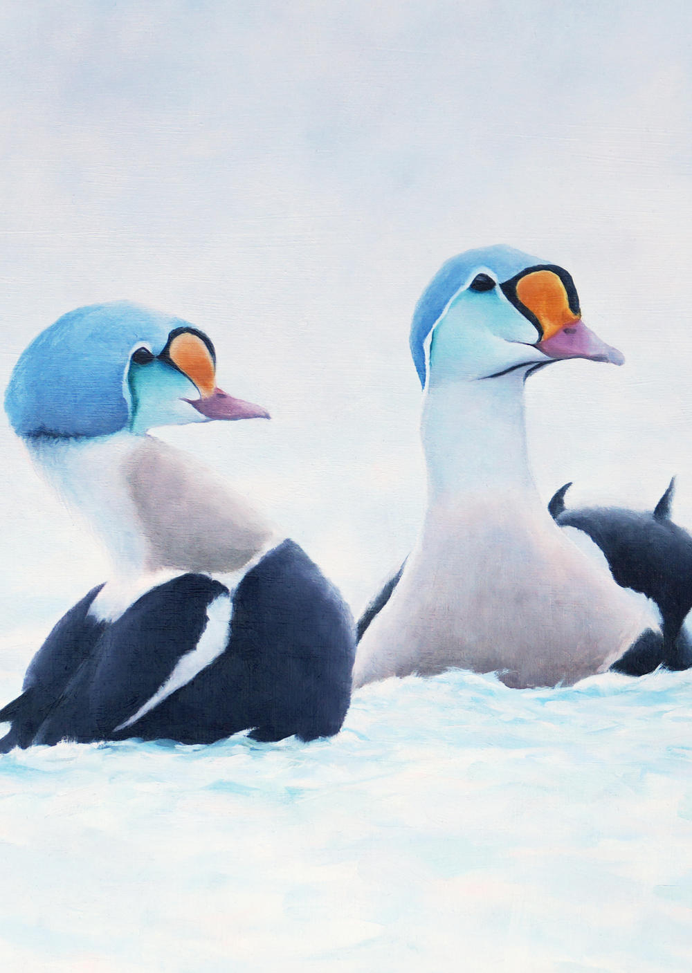 King Eiders - An Original Oil Painting By Bird Artist Chris Lodge
