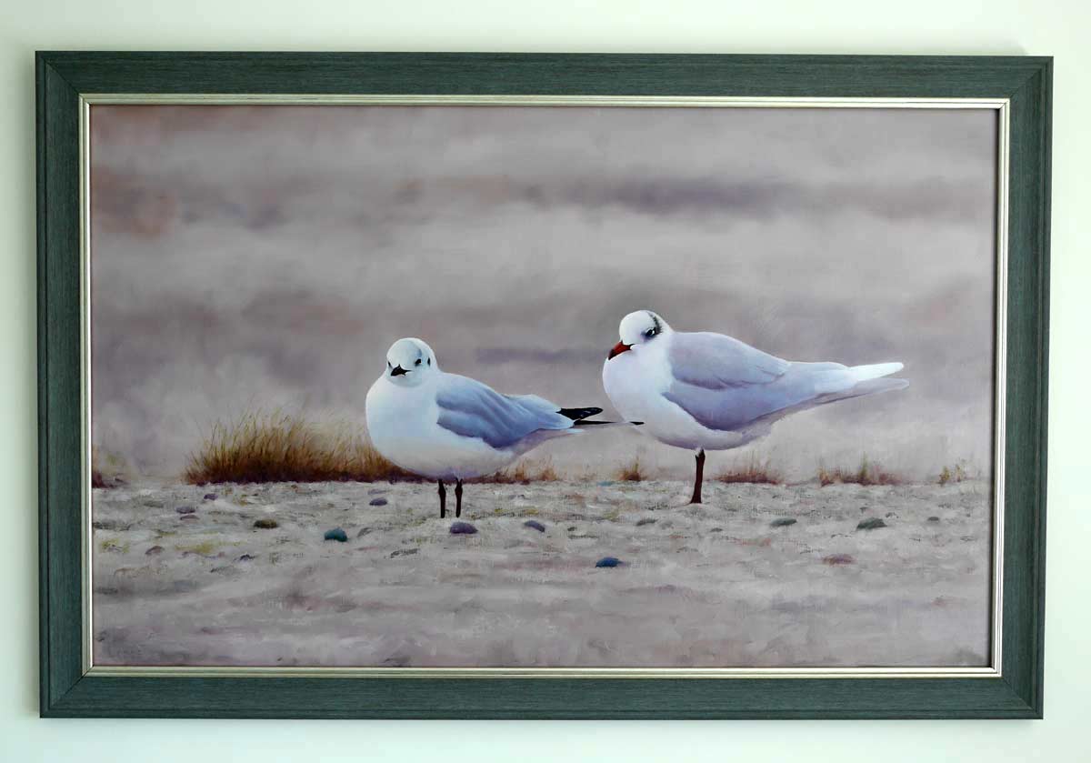 gulls painting Bird Art by Chris Lodge