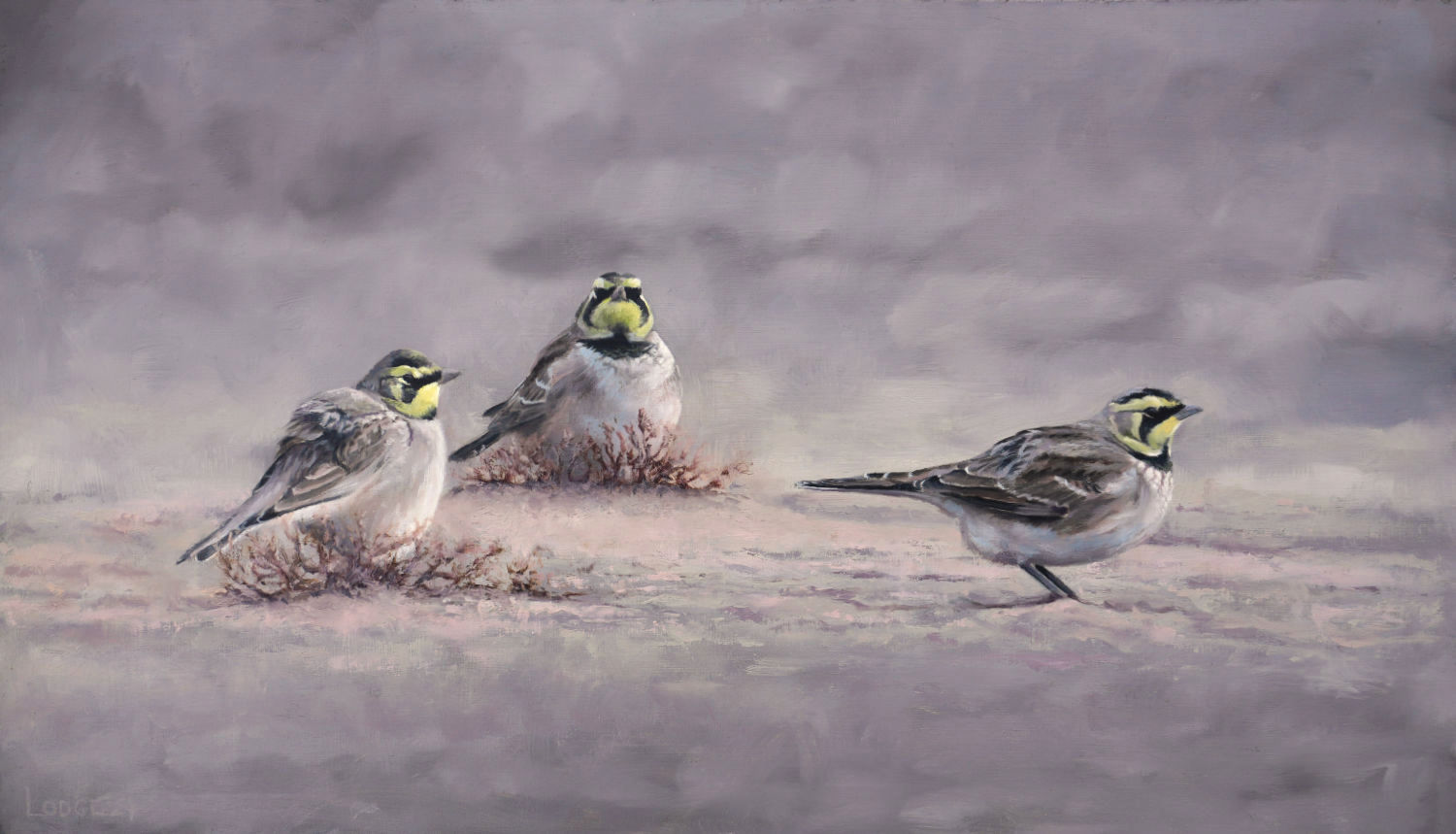 shorelarks painting Bird Art by Chris Lodge