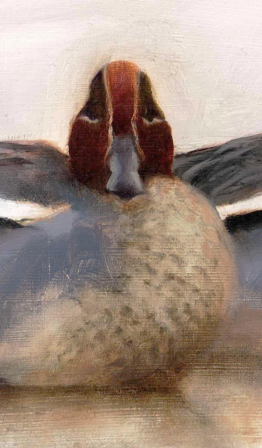 Teal - An Original Oil Painting By Bird Artist Chris Lodge