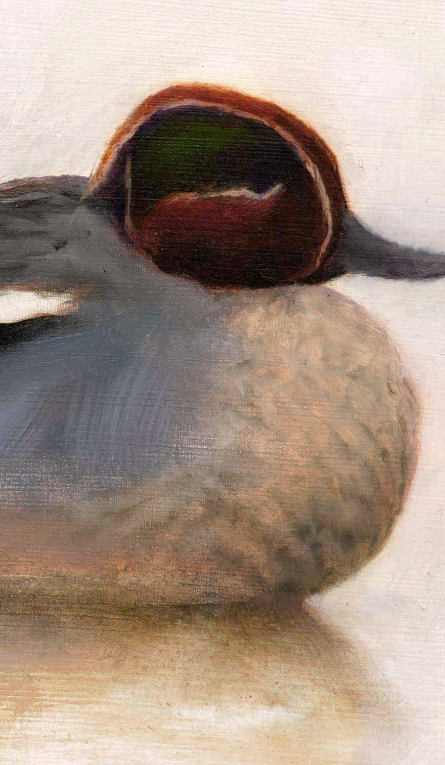 Teal - An Original Oil Painting By Bird Artist Chris Lodge