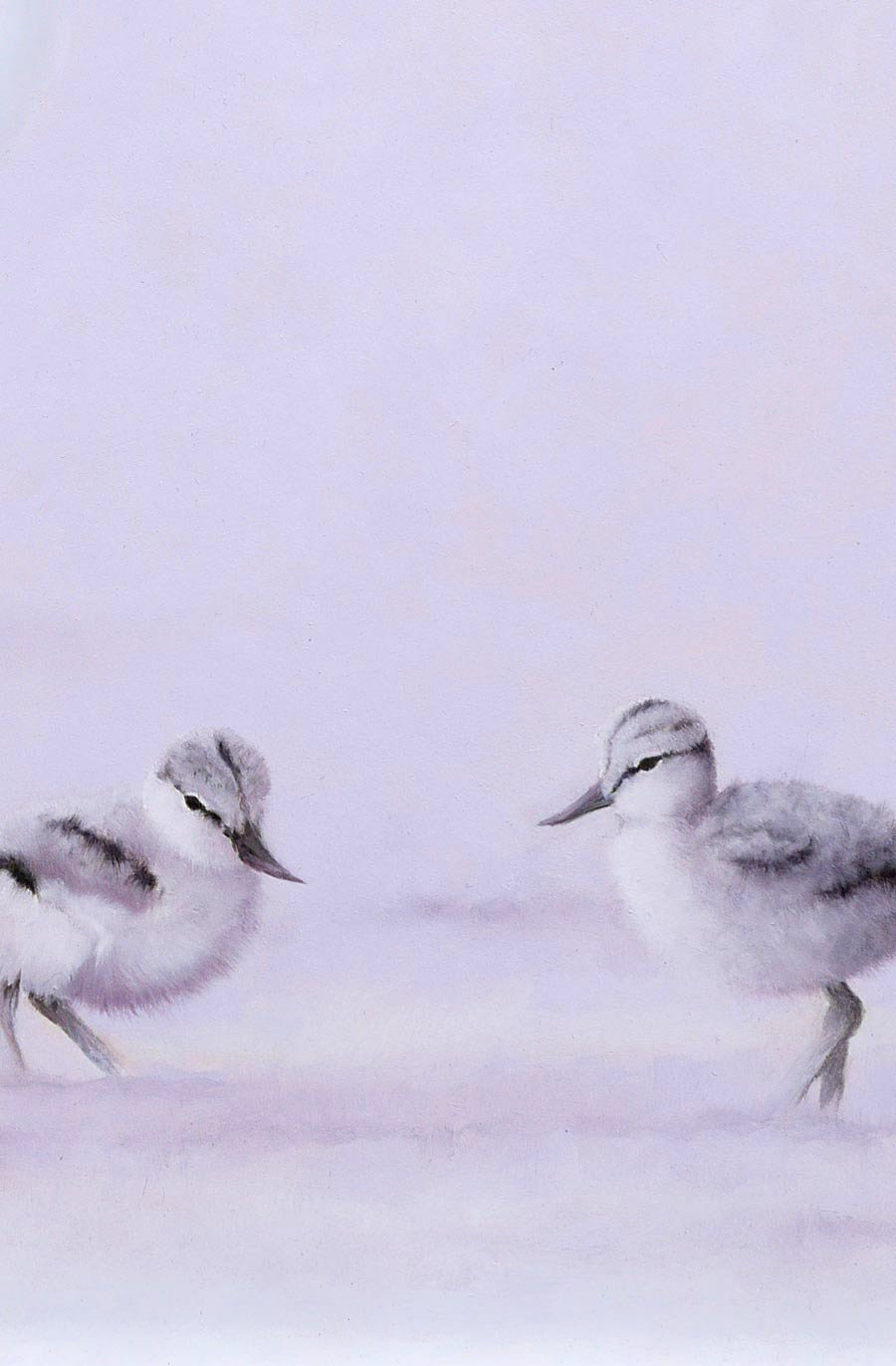 Avocet and Chicks Bird Art Print