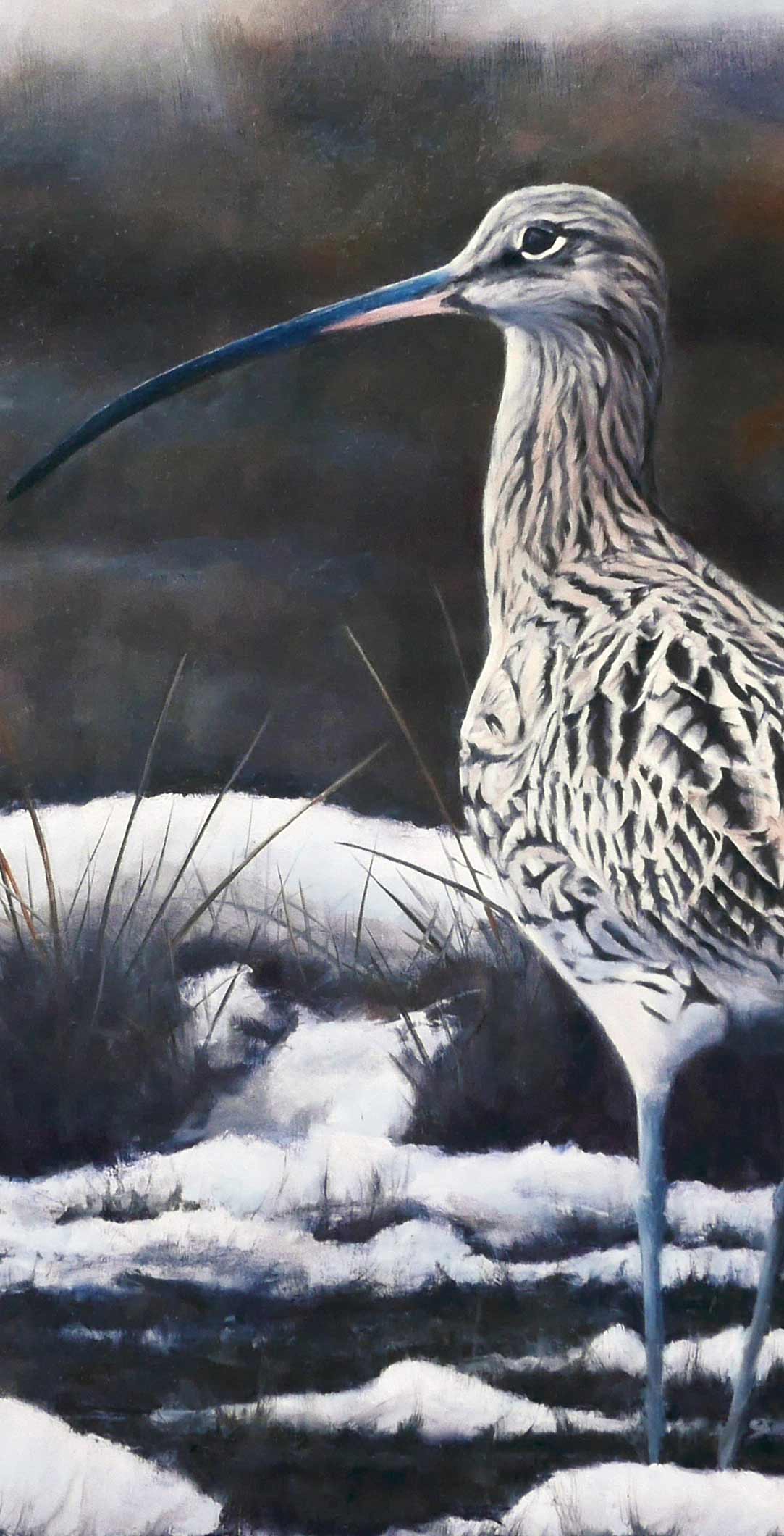 Curlew 'Winter Marsh' Bird Art Print