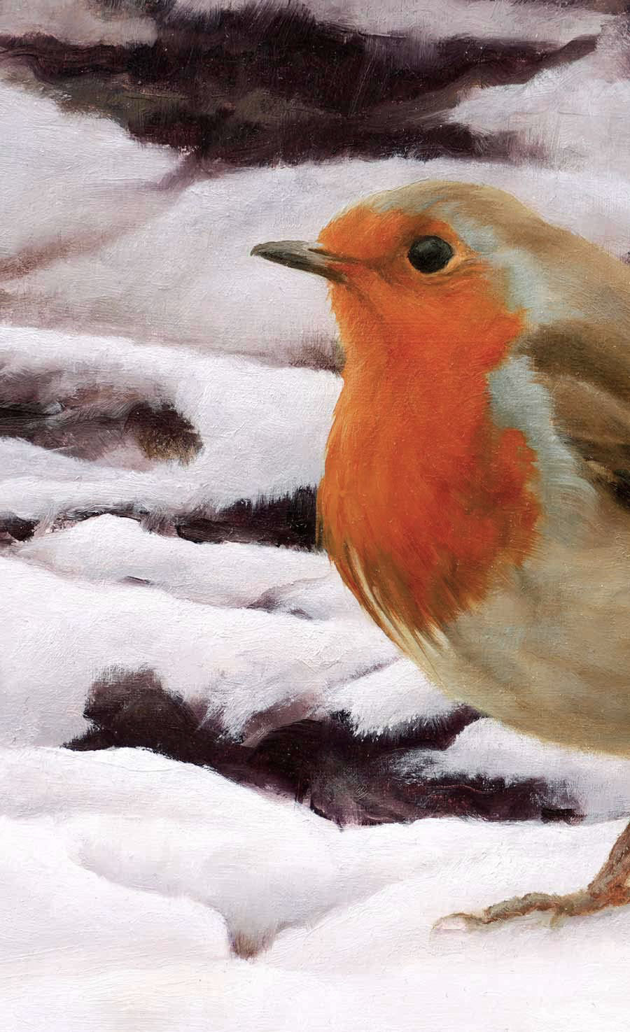 Winter Robin Bird Art Print