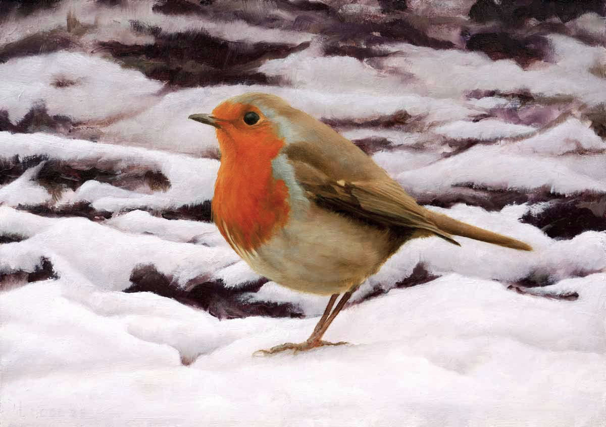 Winter Robin Bird Print by Chris Lodge