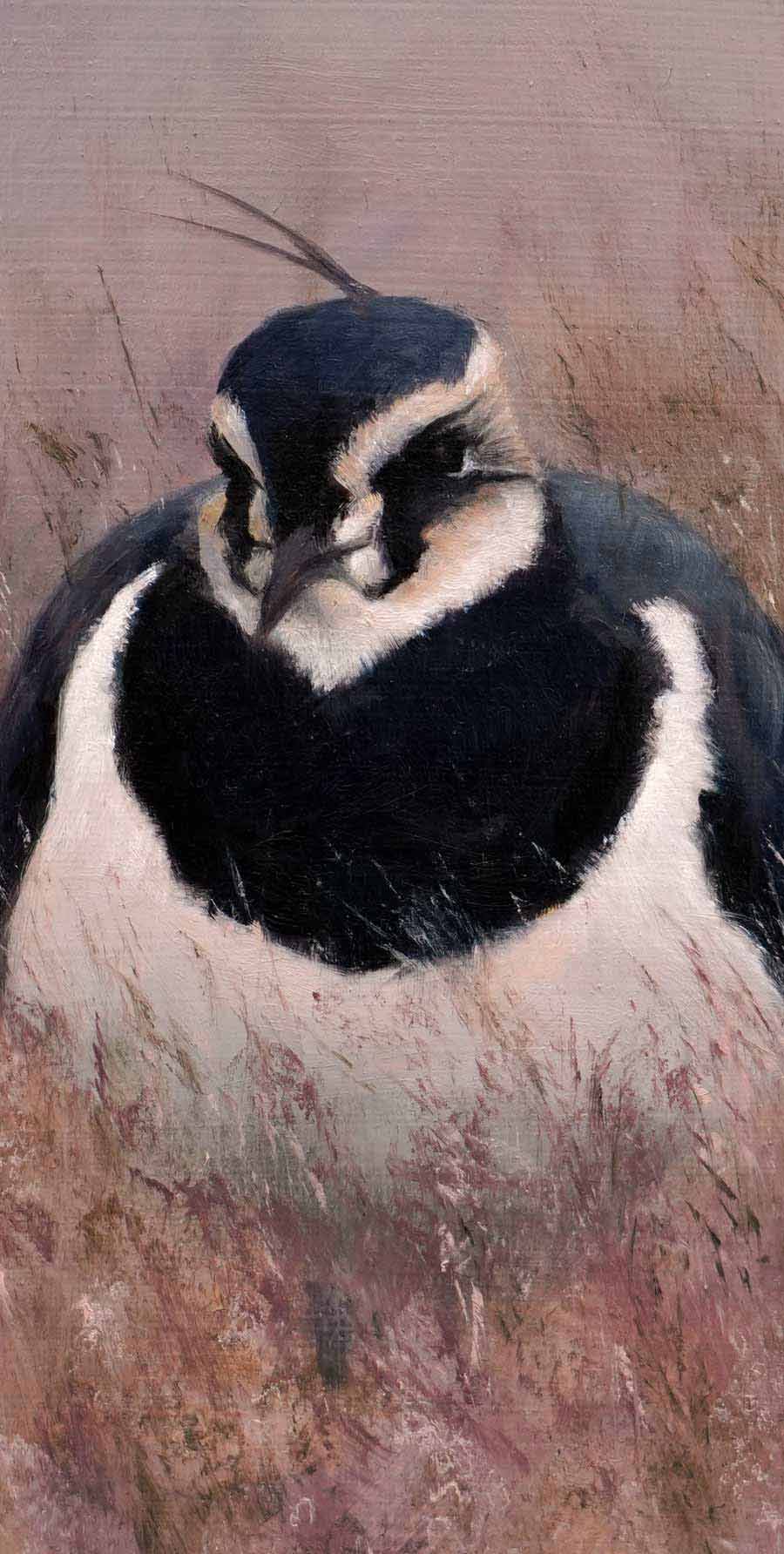 Three Lapwing Bird Art Print