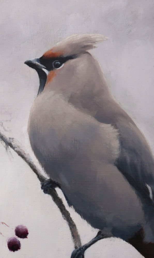 Shorelarks Bird Art Print